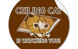 Celing_cat_is_watching_you_sticker-p217717322755133198qjcl_400